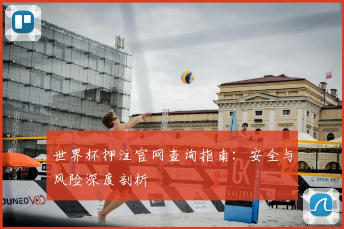 世界杯押注官网查询指南：安全与风险深度剖析