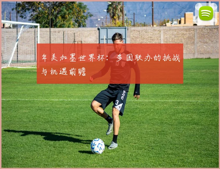 年美加墨世界杯：多国联办的挑战与机遇前瞻