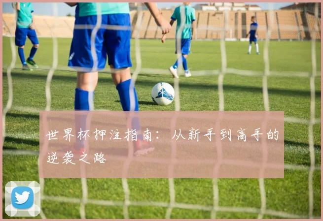 世界杯押注指南：从新手到高手的逆袭之路