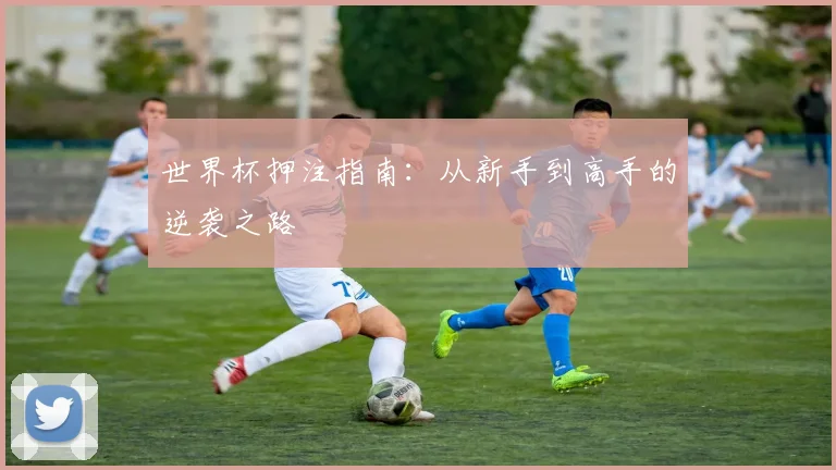 世界杯押注指南：从新手到高手的逆袭之路