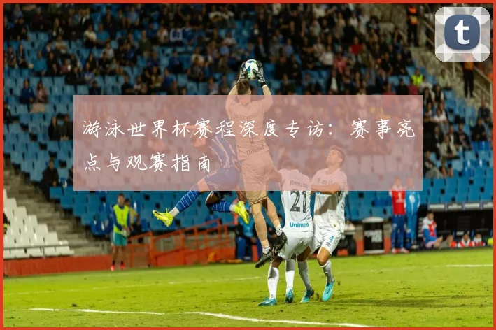 游泳世界杯赛程深度专访:赛事亮点与观赛指南