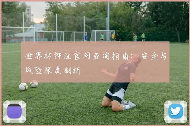 世界杯押注官网查询指南：安全与风险深度剖析