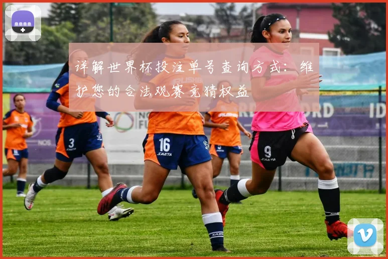 详解世界杯投注单号查询方式：维护您的合法观赛竞猜权益