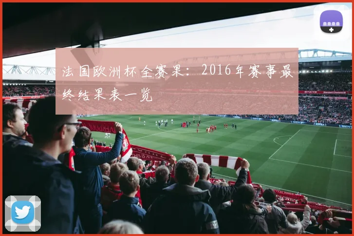 法国欧洲杯全赛果：2016年赛事最终结果表一览